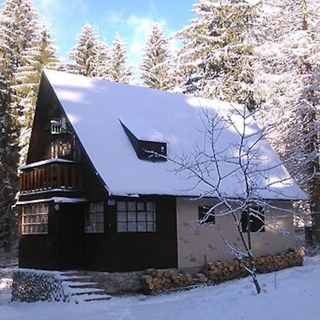 Enchanted Forest Chalet Татранска Щръба Екстериор снимка