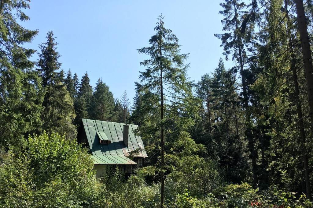 Enchanted Forest Chalet Татранска Щръба Екстериор снимка