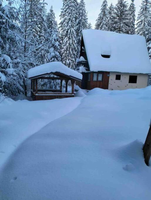 Enchanted Forest Chalet Татранска Щръба Екстериор снимка