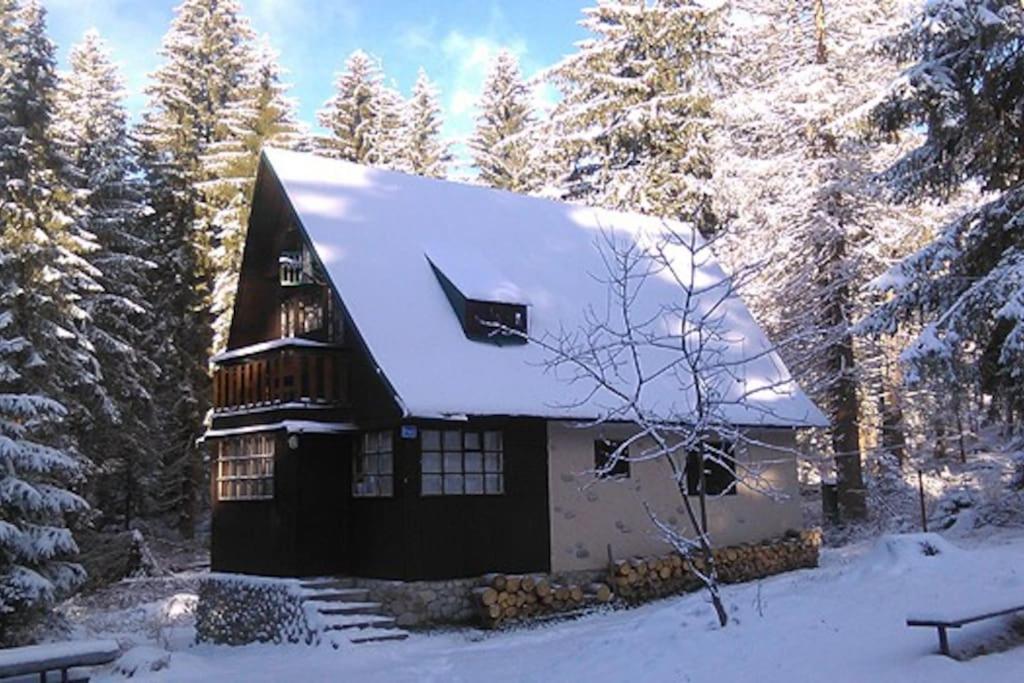 Enchanted Forest Chalet Татранска Щръба Екстериор снимка